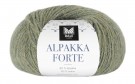 731 Alpakka Forte - Lys grønn melert thumbnail