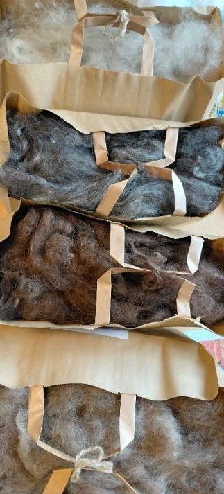 Kardet ull av gammelnorsk spælsau i alle naturfarger. Perfekt for spinning,toving, eller andre prosjekter